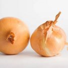 Onion Texas Early Grano Seeds Non Gmo Heirloom 200 Seeds Fresh Garden