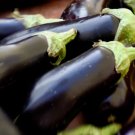 1000 Seeds Black Beauty Eggplant Solanum Melongena Esculentum Vegetable Fresh Garden