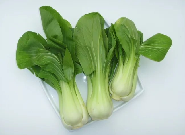 Heirloom Bok Choy Chinese Cabbage Seeds Brassica Rapa Var Chinensis 200 Seeds Fresh Garden