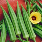 300 Emerald Green Velvet Okra Spineless Abelmoschus Esculentus Vegetable Seeds Fresh Garden