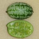 Mouse Melon (Cucamelon) 10 Seeds Heirloom Fruit Cucurbit Culinary Plant Fresh Garden