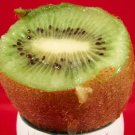 Kiwi Fruit Chinese Gooseberry 100 Seeds Beautiful Vining Fruit 100 Seeds Fresh Garden