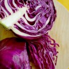 500 Red Acre Cabbage Brassica Oleracea Capitata Vegetable Seeds Fresh Garden 500 Red Acre Cabbage Brassica Oleracea Capitata Vegetable Seeds Fresh Garden
