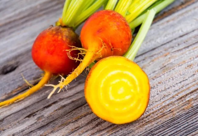 30 Seeds Burpee'S Golden Beet Beta Vulgaris Yellow Root Vegetable Fresh Garden