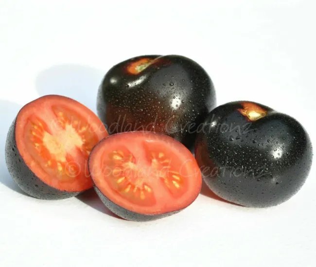 20 Eight Ball Tomato Seeds Dark Black Gothic Fruit Heirloom Fresh Garden