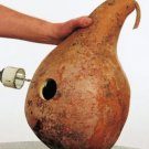 Gourd MARTINHOUSE BOTTLE Heirloom Huge Decorative Bird Lovers Non-GMO 20 Seeds