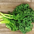 Kale DWARF SIBERIAN Cool Weather Heirloom MicroGreens Healthy Non-GMO 500 Seeds