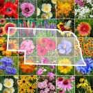 Wildflower NEBRASKA State Flower Mix Perennials & Annuals USA Non-GMO 1000 Seeds