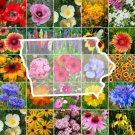 Wildflower IOWA State Flower Mix Perennials & Annuals USA Non-GMO 1000 Seeds