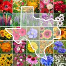 Wildflower TEXAS State Flower Mix Perennials & Annuals USA Non-GMO 1000 Seeds