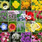 Wildflower HAWAII State Flower Mix Perennials & Annuals USA Non-GMO 1000 Seeds