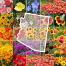 Wildflower ARIZONA State Flower Mix Perennials & Annuals Non-GMO 1000 Seeds