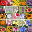 Wildflower LOUISIANA State Mix Perennial &Annual 25 Types USA Non-GMO 1000 Seeds