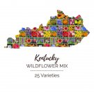 Wildflower KENTUCKY State Mix Perennial & Annual 25 Types USA Non-GMO 1000 Seeds