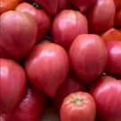 Tomato Mix OXHEART Sauce Canning Heirloom Indeterminate Non-GMO 50 Seeds