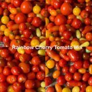 Tomato Mix RAINBOW CHERRY Tomatoes Heirloom Indeterminate Non-GMO 50 Seeds