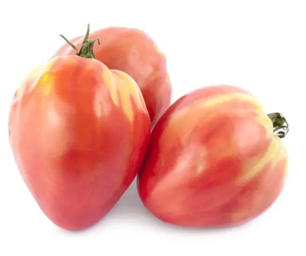 Tomato RUSSIAN BICOLORED OXHEART Indeterminate Heirloom Slicing Non-GMO 30 seeds