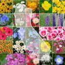 CALIFORNIA Wildflower Mix Perennials & Annuals USA Non-GMO 23 Species 1000 Seeds
