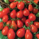 Tomato RED PEAR Indeterminate Heirloom Containers USA Non-GMO 100 seeds