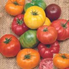 Tomato Mix BEEFSTEAK RAINBOW Heirloom Tomatoes Indeterminate Non-GMO 50 Seeds