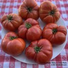 Tomato HANNAH’S PRIZE DWARF Organic Indeterminate Striped USA Non-GMO 20+ Seeds