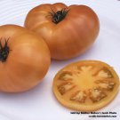 Tomato BLAZING BEAUTY DWARF Organic Potato Leaf Determinate Non-GMO 20+ Seeds