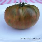 Tomato CHOCOLATE LIGHTNING DWARF Organic Slicing Fruit USA Non-GMO 20+ Seeds