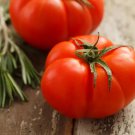 Tomato BEEFSTEAK Heirloom Indeterminate up to 2 lb fruits USA Non-GMO 100 Seeds