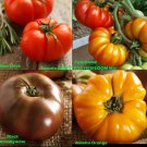 Tomato Mix BEEFSTEAK HEIRLOOM Tomatoes Colorful Indeterminate Non-GMO 50 Seeds