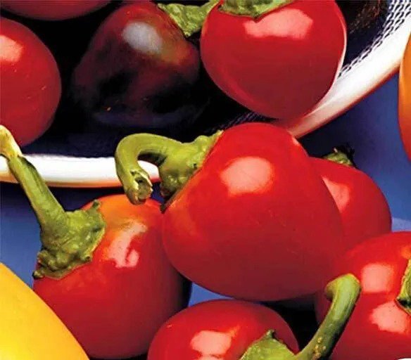 Pepper SWEET RED CHERRY Heirloom Containers Pickling Salads Non-GMO 50 Seeds