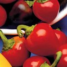Pepper SWEET RED CHERRY Heirloom Containers Pickling Salads Non-GMO 50 Seeds