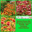 BLANKET FLOWER Mix Annual & Perennial Hummingbirds Butterflies Non-GMO 150 Seeds