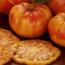 Tomato BIG RAINBOW Large Slicing Indeterminate Heirloom Non-GMO 30 Seeds