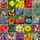 Wildflower Mix ALL HEIRLOOM Perennials & Annuals 25 Species Non-GMO 1000+ Seeds