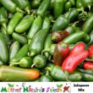 Hot Pepper JALAPENO M Medium 5000 Scovilles Poppers Heirloom Non-GMO 100 Seeds