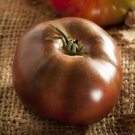 Tomato BLACK BRANDYWINE Potato Leaf Beefsteak Indeterminate Heirloom 30 seeds