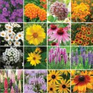 Wildflower Mix NORTHEAST ALL PERENNIAL Heirloom USA 16 Species Non-GMO 500 Seeds