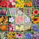 Wildflower Mix GEORGIA 25 Regional Flower Species wPerennials Non-GMO 1000 Seeds
