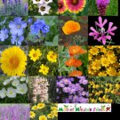 Wildflower Mix XERISCAPE WESTERN US Drought Tolerant Flowers Non-GMO 350 Seeds