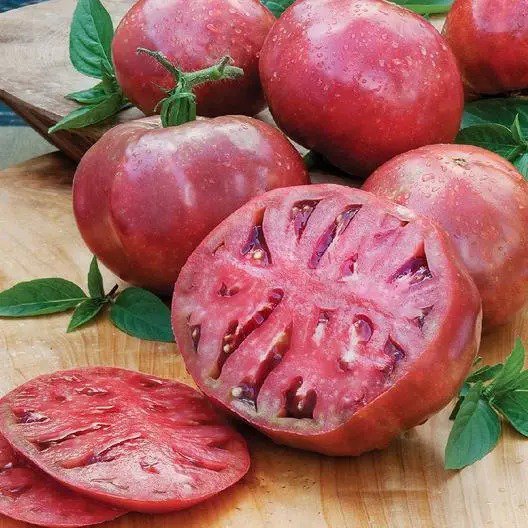 Tomato CHEROKEE PURPLE Beefsteak Indeterminate Heirloom Non-GMO 30 seeds