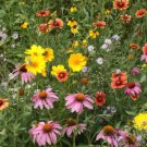Wildflower Mix BEE FEED Native Bees Pollinators Fresh Garden Non-GMO 1000 Seeds
