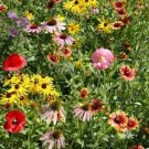 Wildflower Mix BUMBLE BEE BUFFET 16 Flower Species Pollinators USA 500+ Seeds