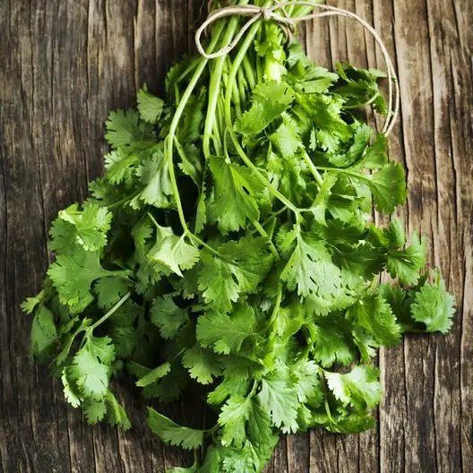 Herb BASIL LARGE SWEET HERB FOR POTS Container Gardens Cooking Non-GMO 200 Seeds