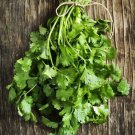 Herb BASIL LARGE SWEET HERB FOR POTS Container Gardens Cooking Non-GMO 200 Seeds