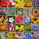 SOUTHEAST Wildflower Mix 25 Species Flower Gardening USA Non-GMO 500+ Seeds