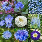 Wildflower Mix BLUE RIBBON w/Perennials Pollinators HEIRLOOM Non-GMO 500+ Seeds