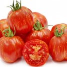 Tomato STRIPED CAVERN Schimmeig Stoo Heirloom Indeterminate Non-GMO 30 Seeds