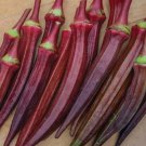 Okra RED BURGUNDY AAS Winner Edible Flowers & Fruit 6-8"" Pods Jambalaya 55 Seeds