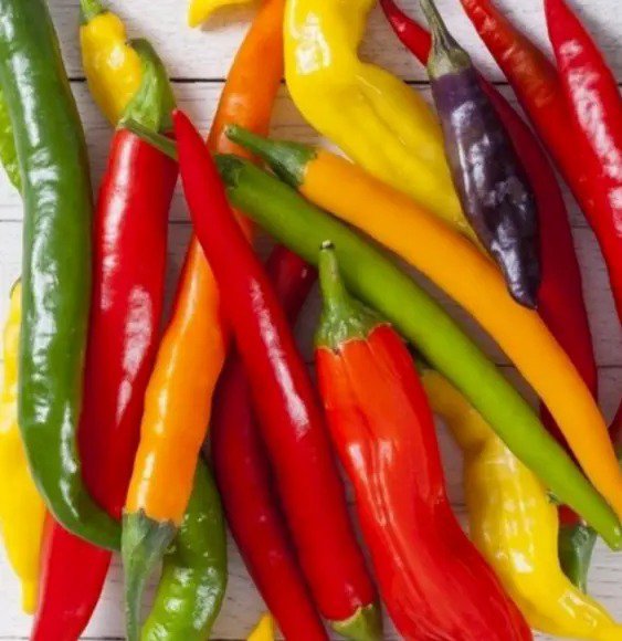 RAINBOW CAYENNE PEPPER SEEDS MIX 30+ SPICY hot PEPPER SALSA FREE SHIPPING