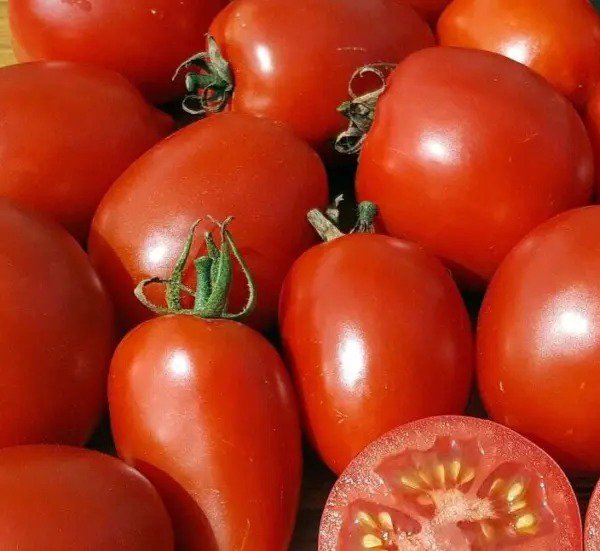 AMISH PASTE TOMATO SEEDS 20+ Indeterminate GARDEN vegetables SAUCE FREE SHIPPING